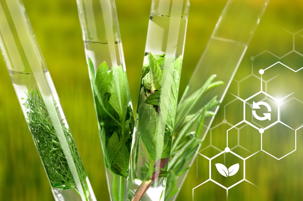 Agroquímicos